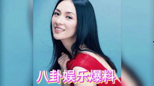 娱乐吃瓜 明星排行榜,吃瓜群众心中的明星风云录